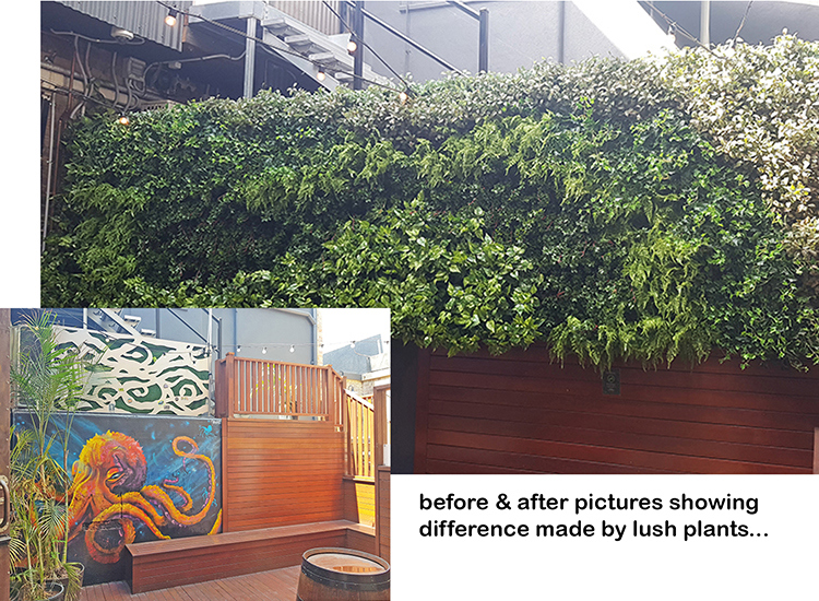 Before & After Shots..... Green-Walls 6
